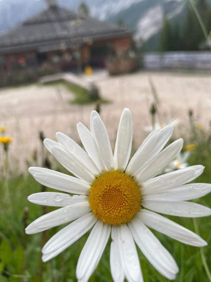 Baita Deona Cibiana Exteriör bild